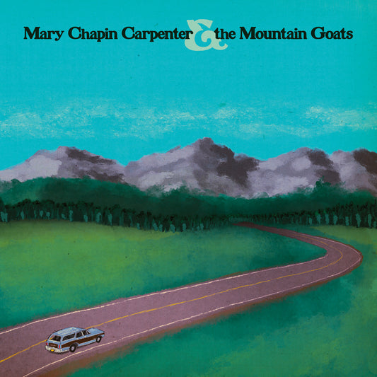 Mary Chapin Carpenter & the Mountain Goats - Put the Message in the Box b/w Migrations 7" Vinyl